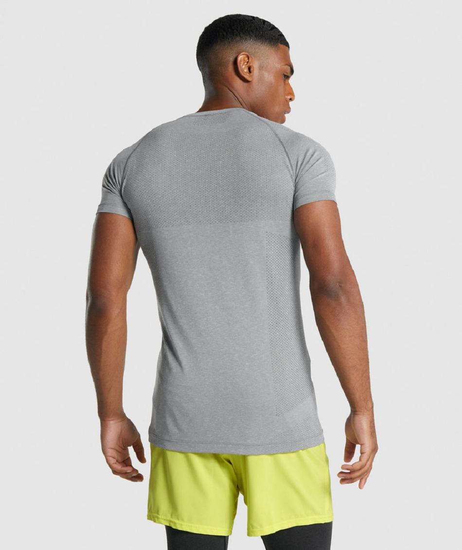 T Shirts Męskie Gymshark Vital Light Seamless Szare | PL 3892DFM